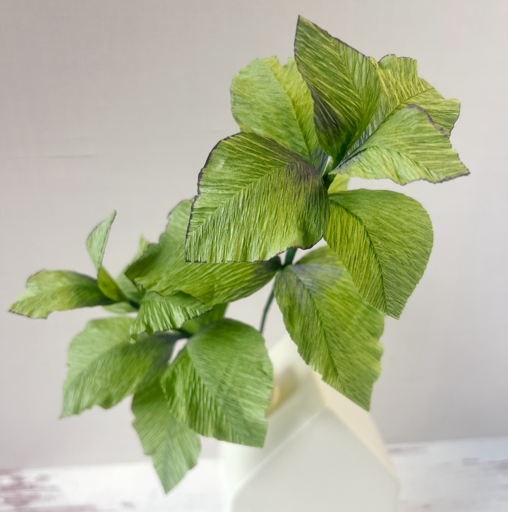 Paper Basil Herb Stems