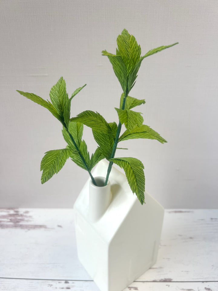 Paper Mint Herb Stems