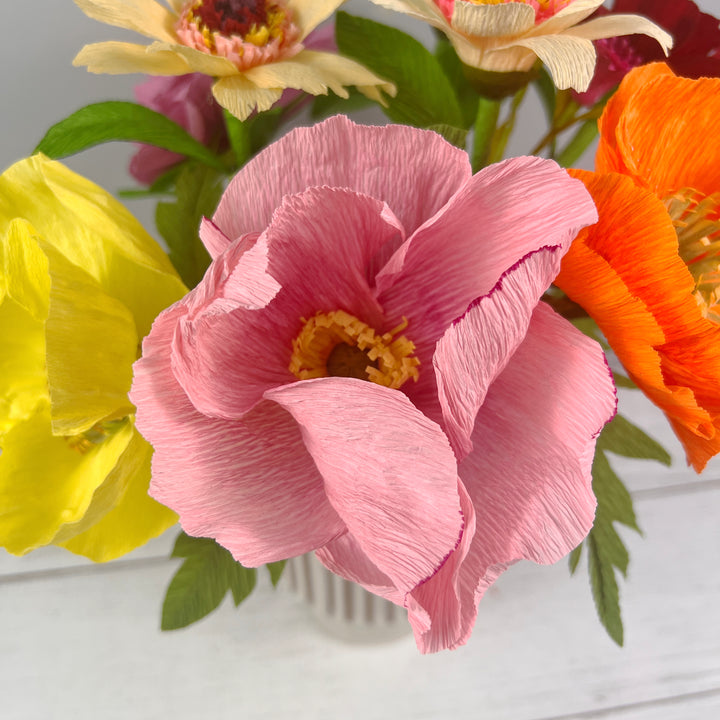 Icelandic Poppy Stem (Paper)