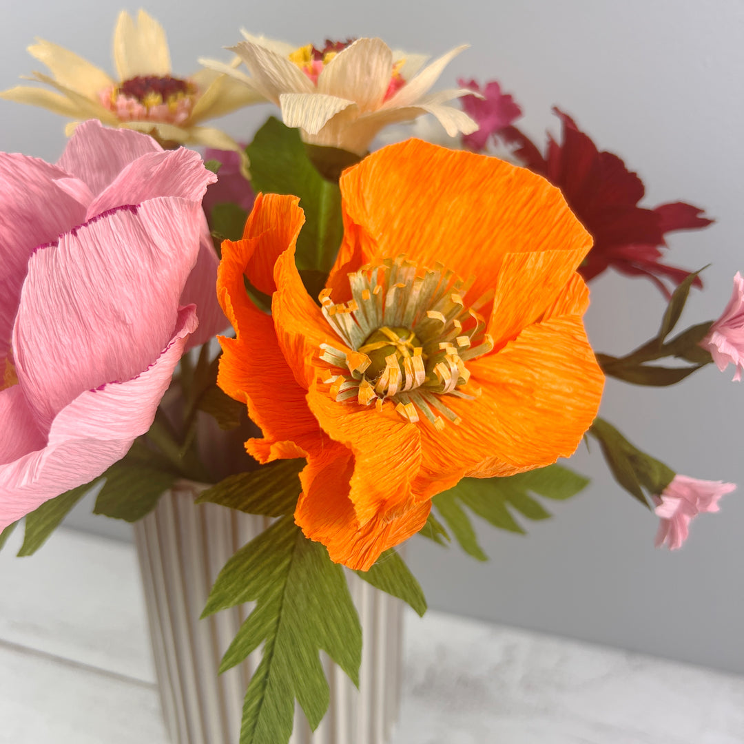 Icelandic Poppy Stem (Paper)