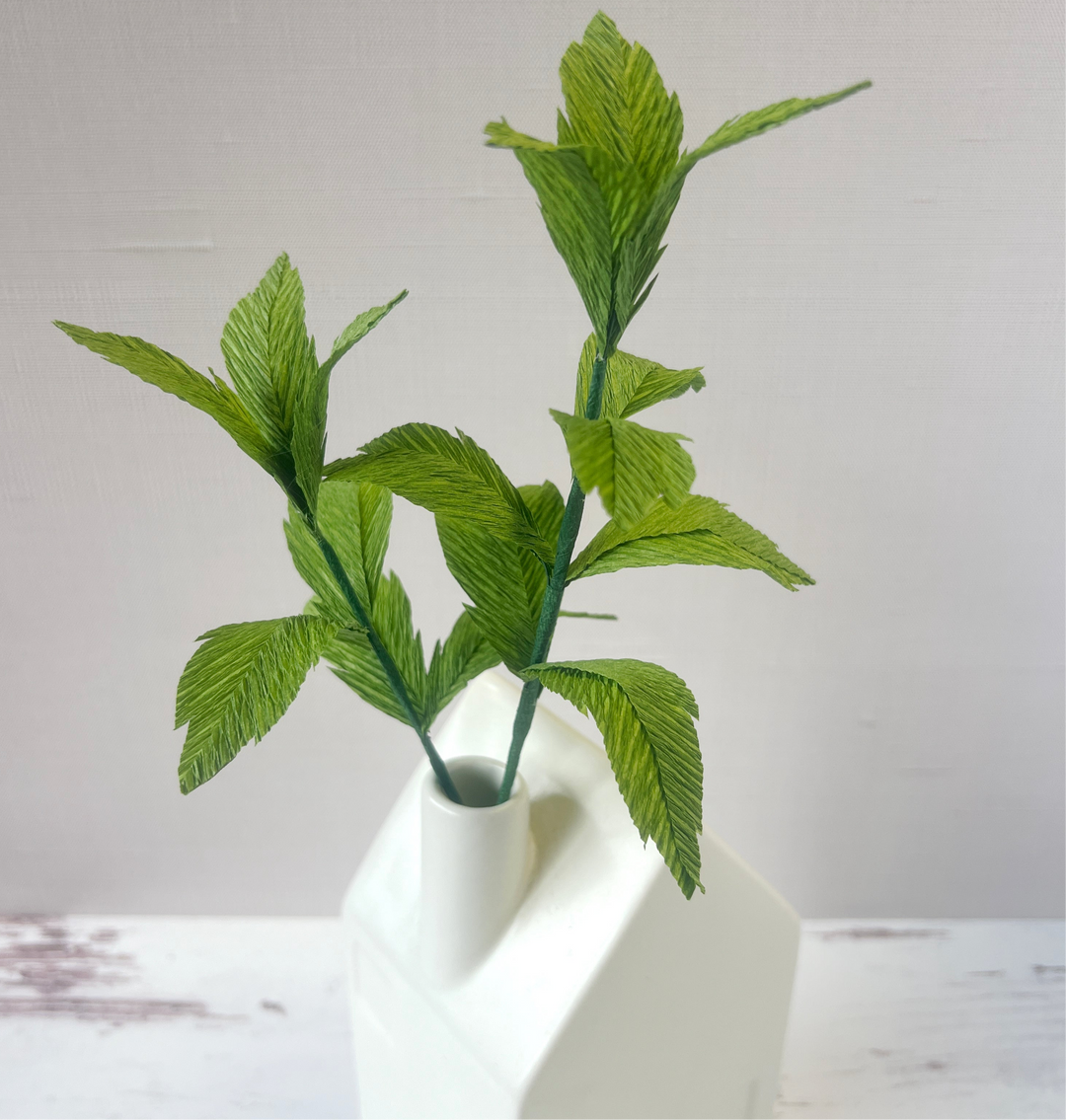 Paper Mint Herb Stems