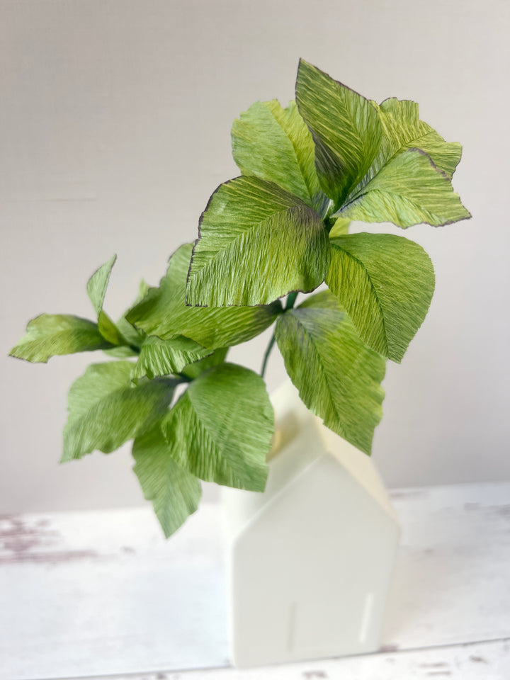 Paper Basil Herb Stems