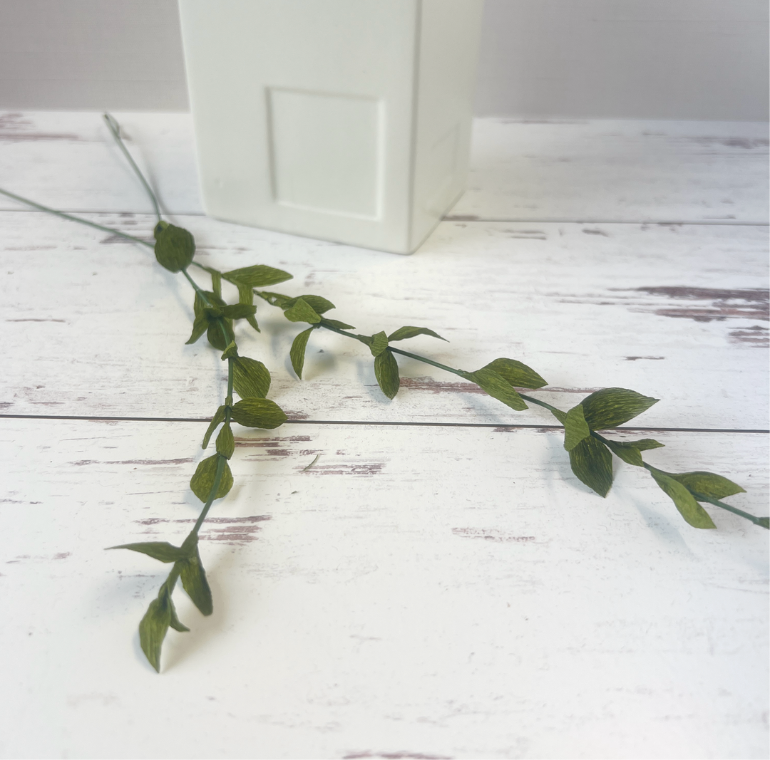 Paper Thyme Herb Stems