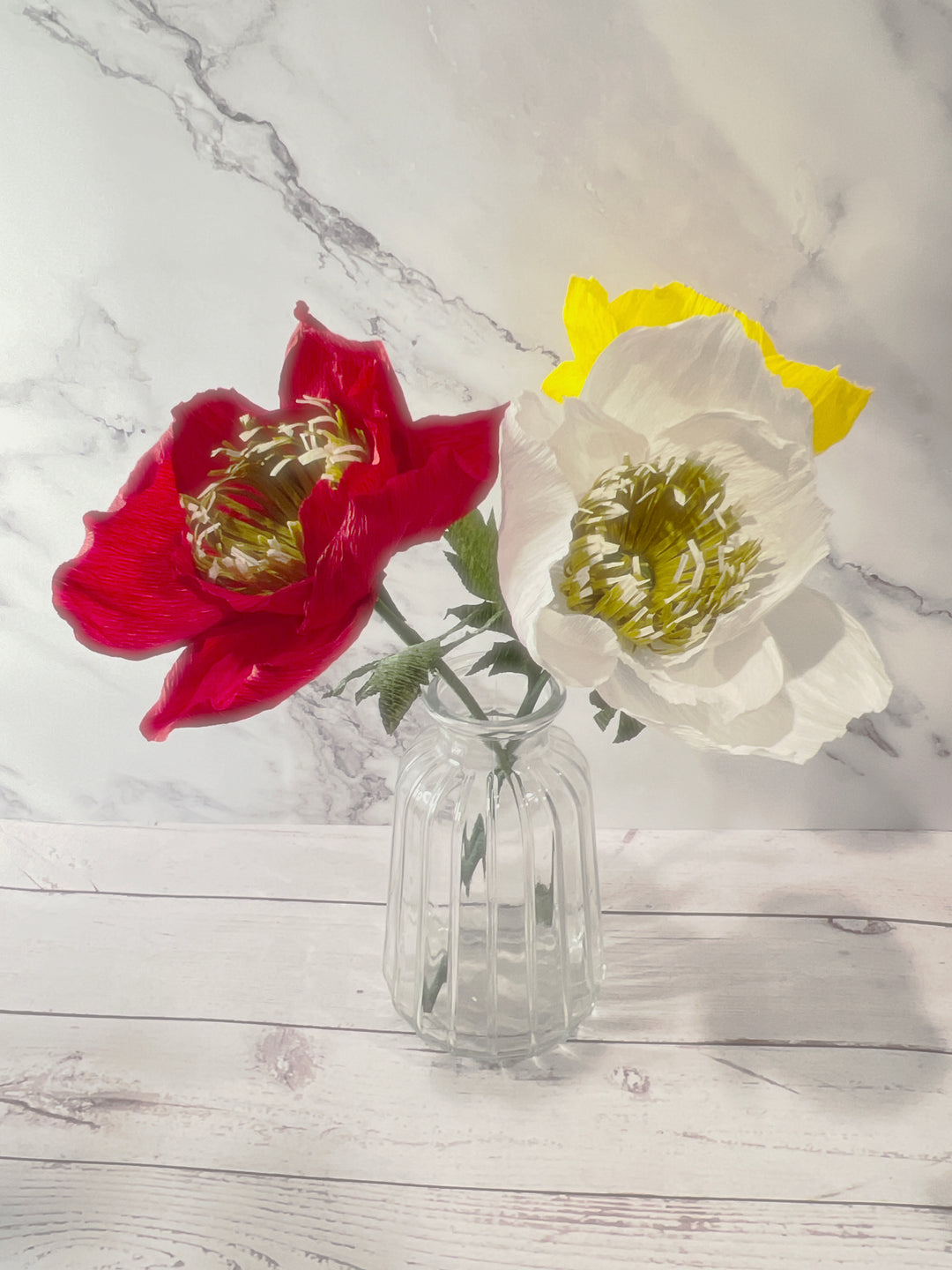 Icelandic Poppy Stem (Paper)