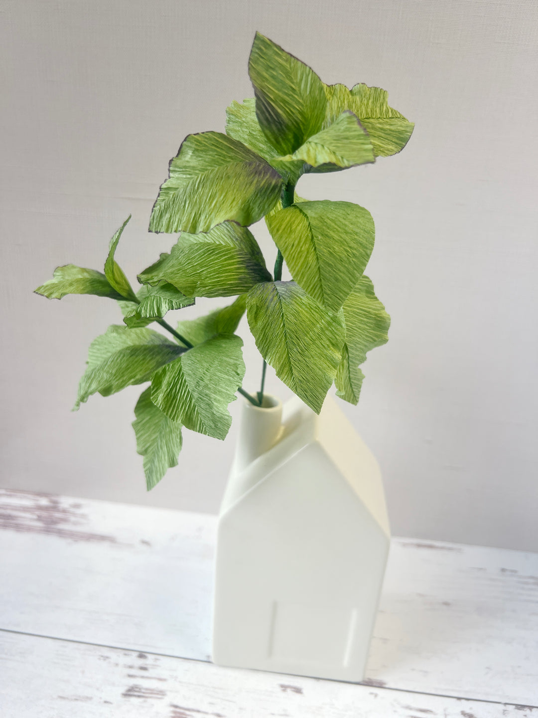 Paper Basil Herb Stems