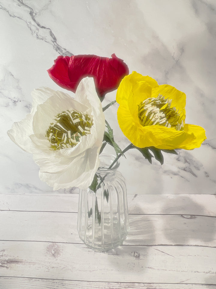 Icelandic Poppy Stem (Paper)