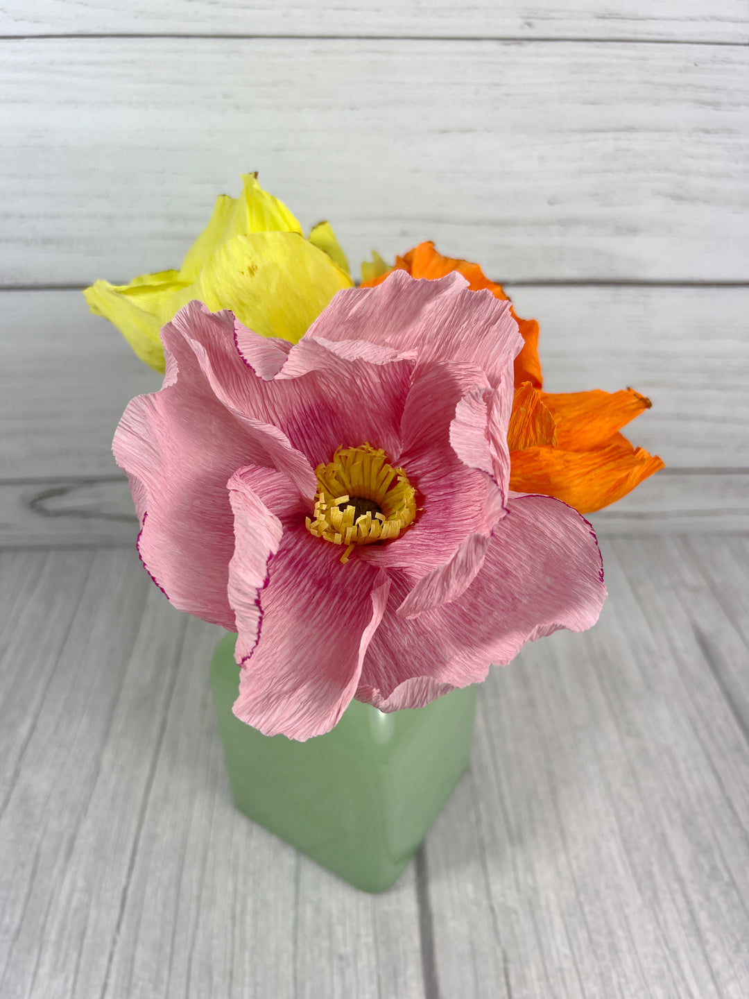 Icelandic Poppy Stem (Paper)