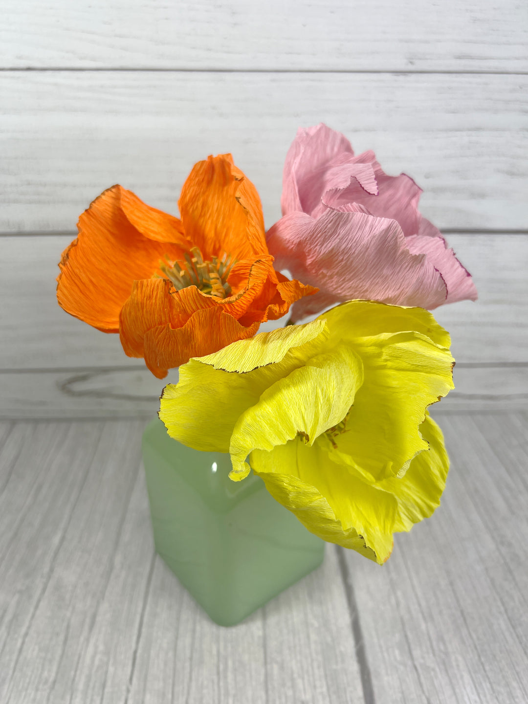 Icelandic Poppy Stem (Paper)