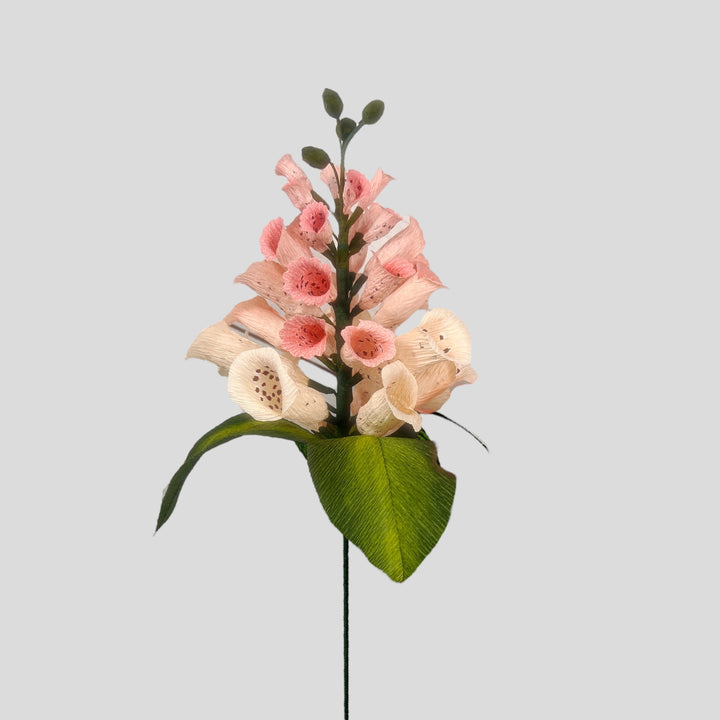 Foxglove Stem (Paper)