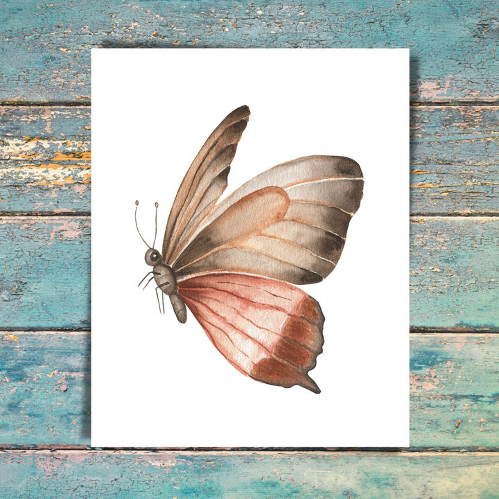 Butterfly 5 Pack Note Cards