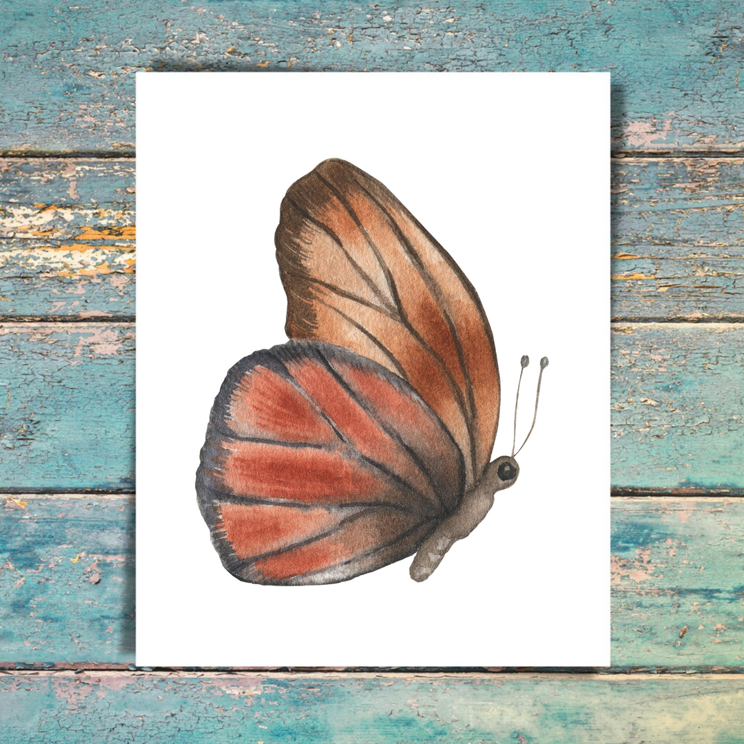 Butterfly 5 Pack Note Cards