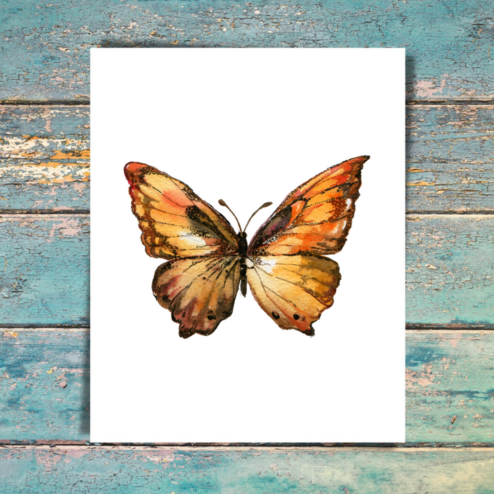 Butterfly 5 Pack Note Cards