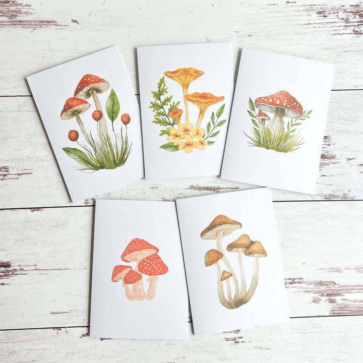 Mushroom 5 Pack Note Cards