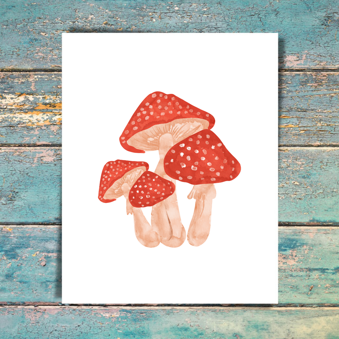 Mushroom 5 Pack Note Cards