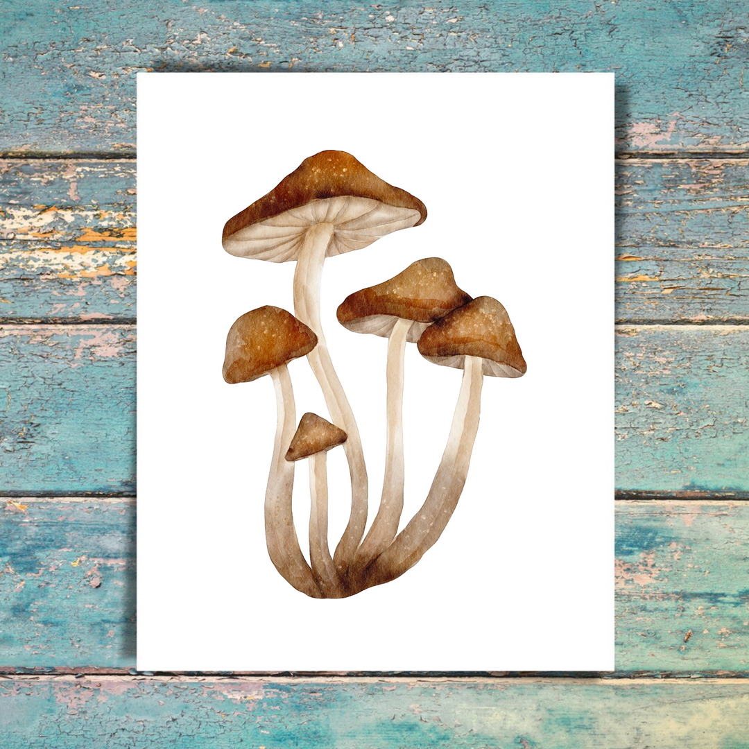 Mushroom 5 Pack Note Cards