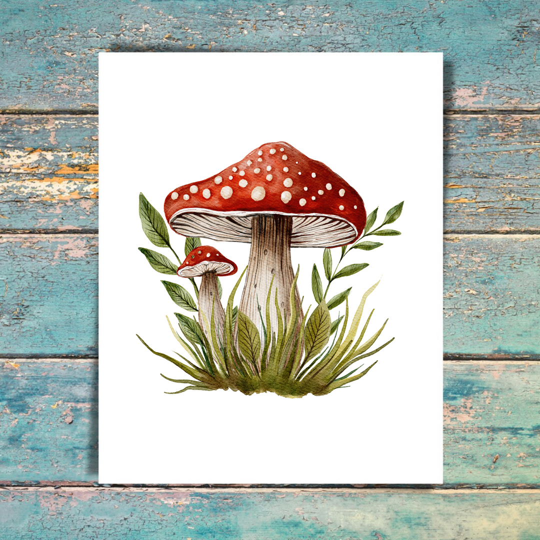 Mushroom 5 Pack Note Cards