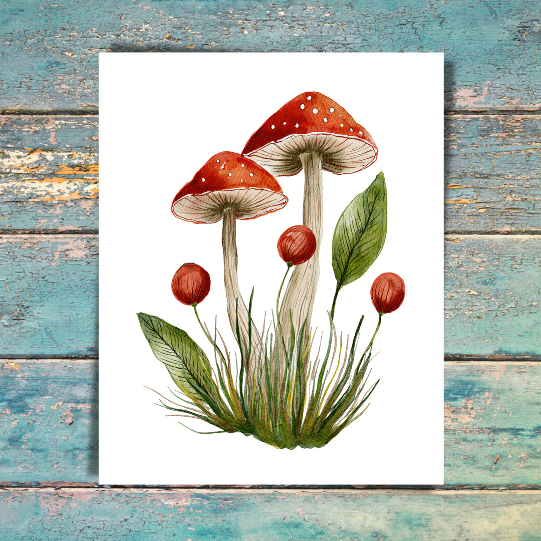 Mushroom 5 Pack Note Cards