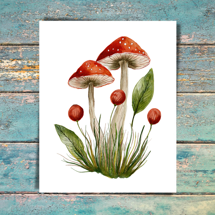 Mushroom 5 Pack Note Cards